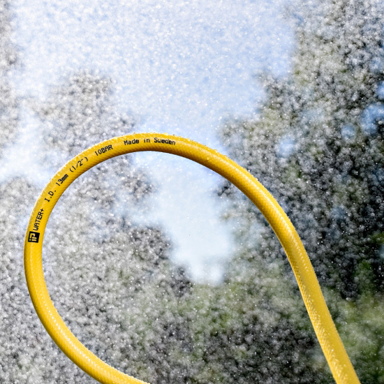 Tr�dg�rdsslang - Gul